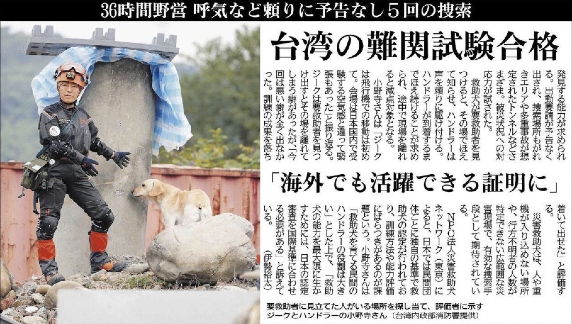 【北海道新聞・読売新聞掲載のお知らせ】 救助犬ジーク 台湾国際試験合格