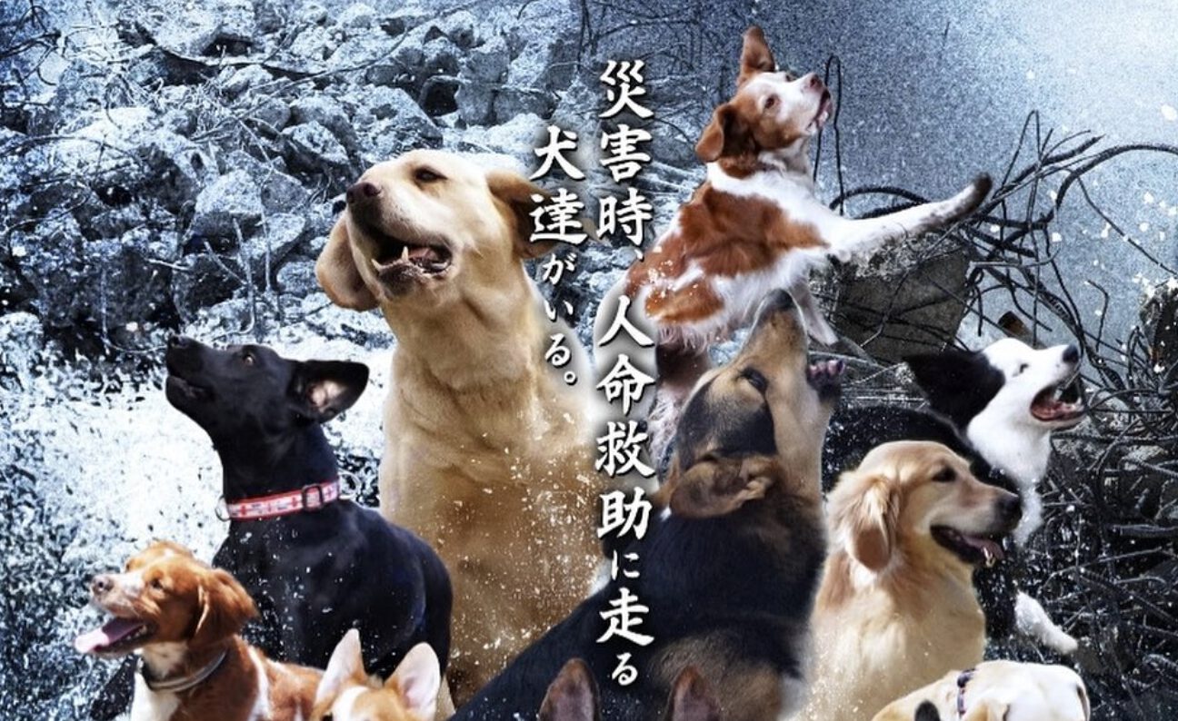 災害救助犬ポスターが完成しました