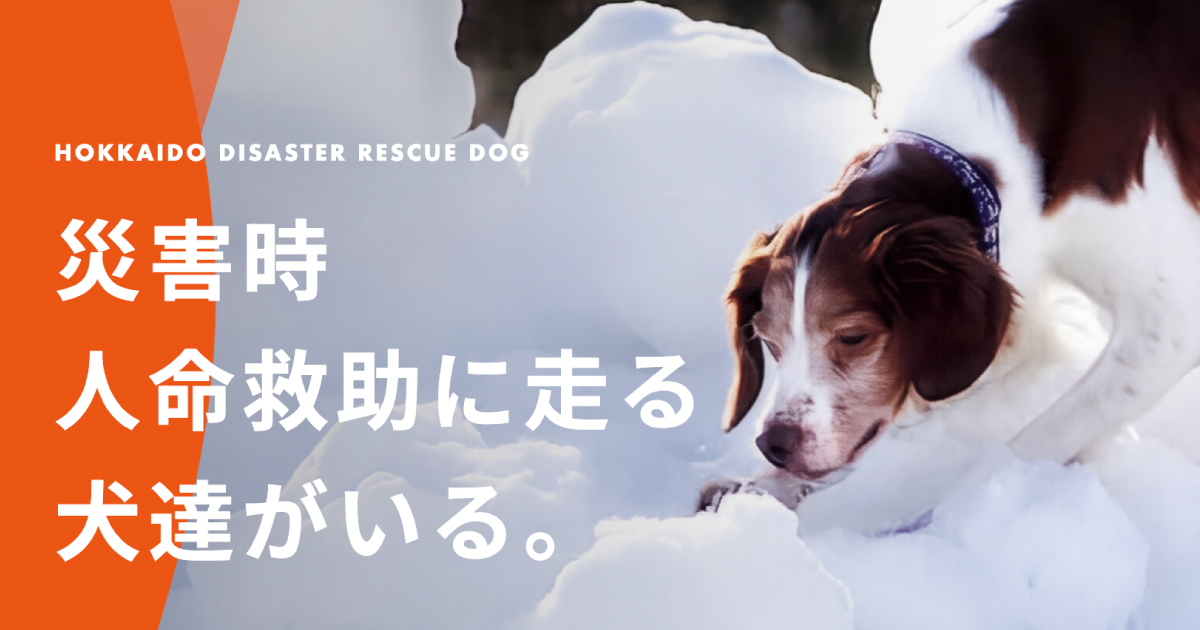 HDRD 北海道災害救助犬 | 災害時 人命救助に走る 犬達がいる。
